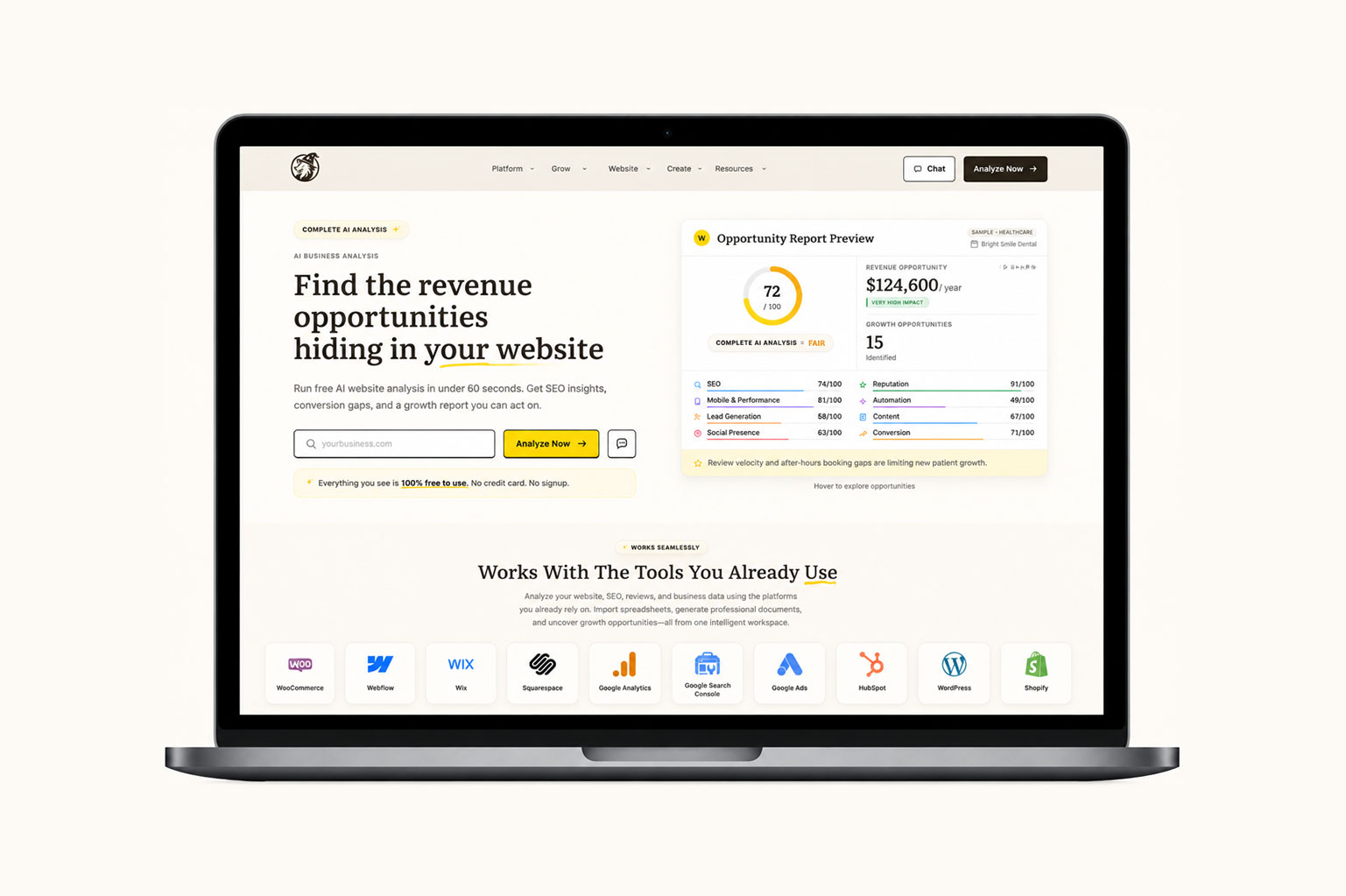 Wizara — AI-powered growth platform on desktop